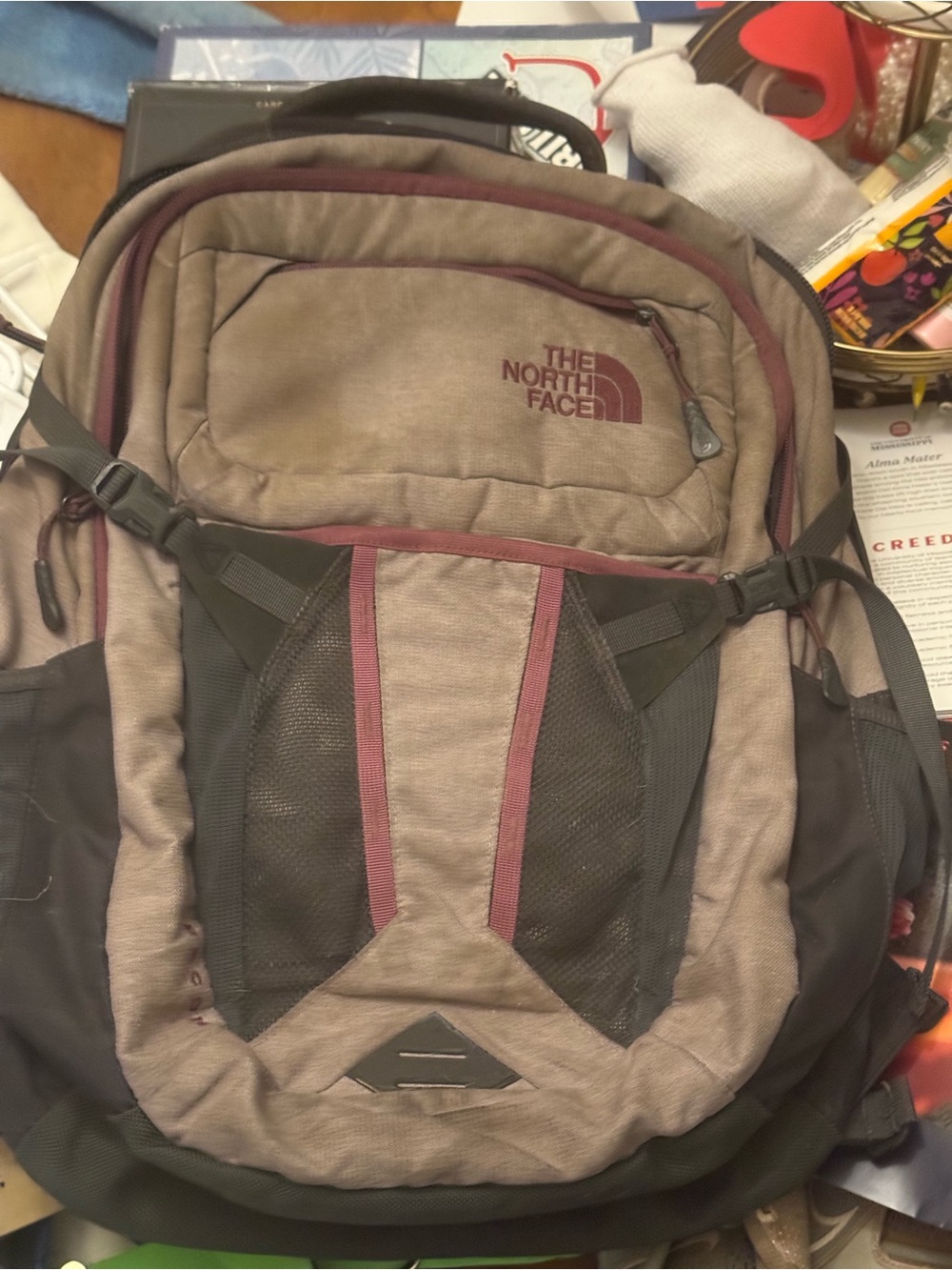 The North Face Taupe Backpack with Burgundy Trim